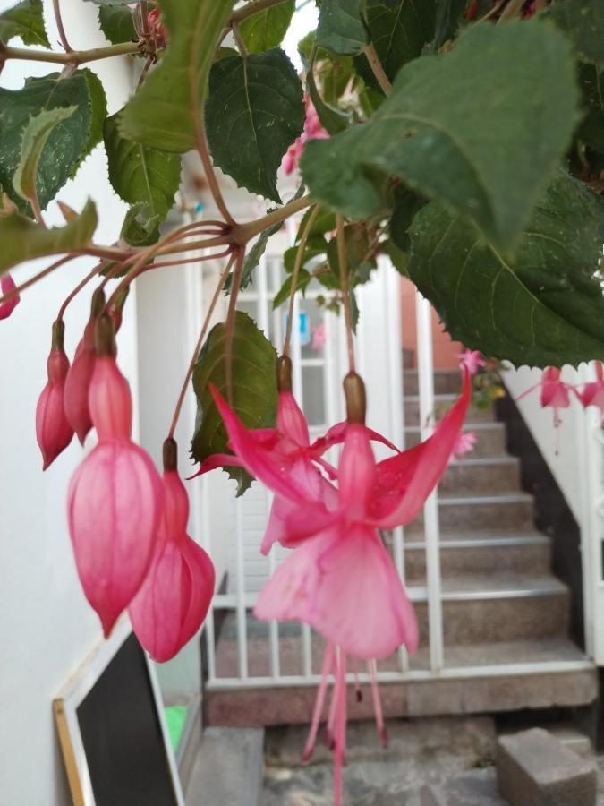 Cusco Vista Guest House Zewnętrze zdjęcie